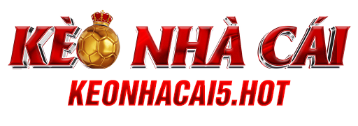 logo footer ingeconsas.com.co